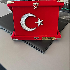 Dernek Logolu Türk Bayrağı